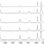 Professors Hawk, Leonard and BIC major publish in BBRC